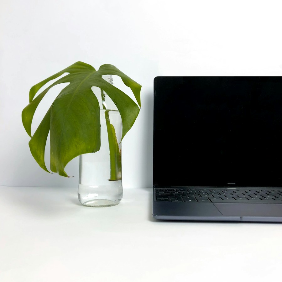 Espace de travail organisé